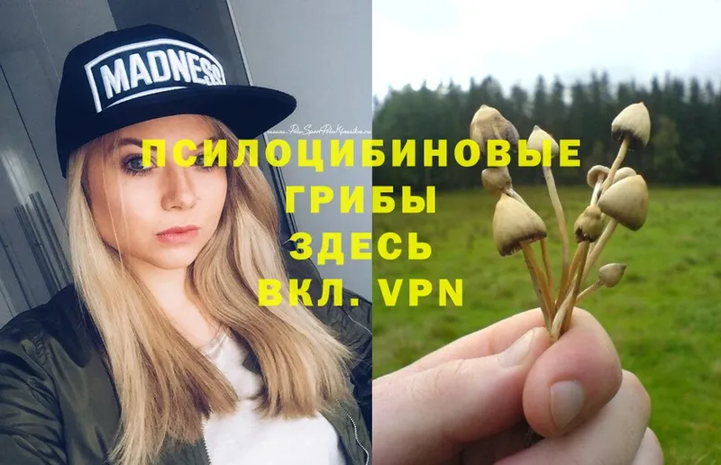 Псилоцибиновые грибы Magic Shrooms  купить  цена  Тосно 